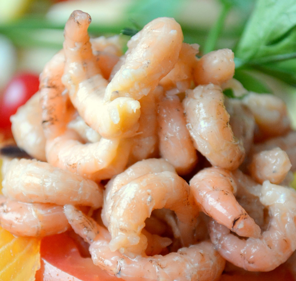 Melancholie speler grind Schaal-en schelpdieren | Online vis bestellen in Ninove, viswinkel Nino Seafood Melancholie speler grind Schaal-en schelpdieren | Online vis bestellen in Ninove, viswinkel Nino Seafood