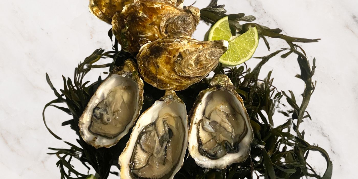 Afkomst oesters