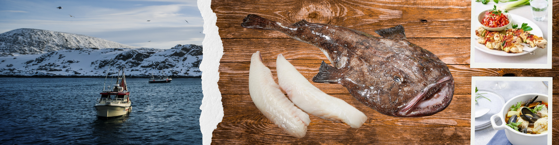 Vis van het jaar 2025: Zeeduivel